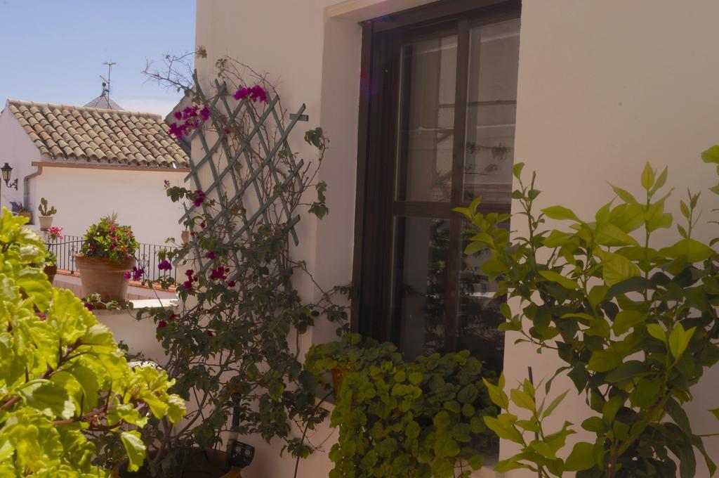 Appartement Penthouse Puerta De La Juderia à Cordoue Extérieur photo